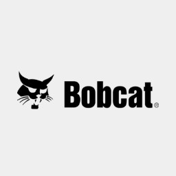 Bobcat