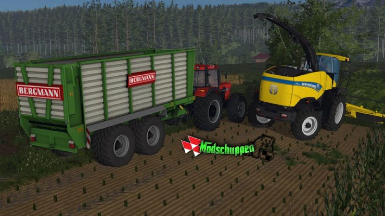 Bergmann HTW 35 v1.01