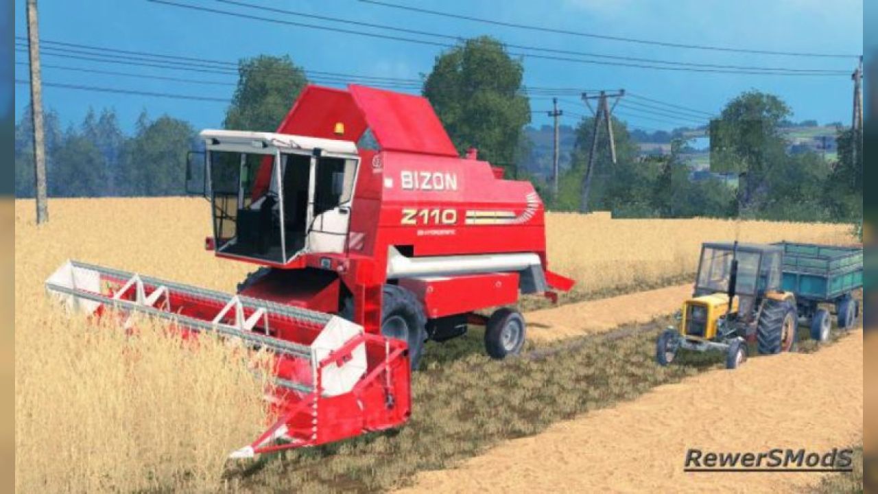 Bizon BS Z110