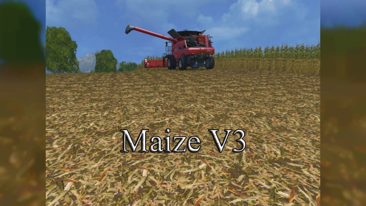 Chopped maize