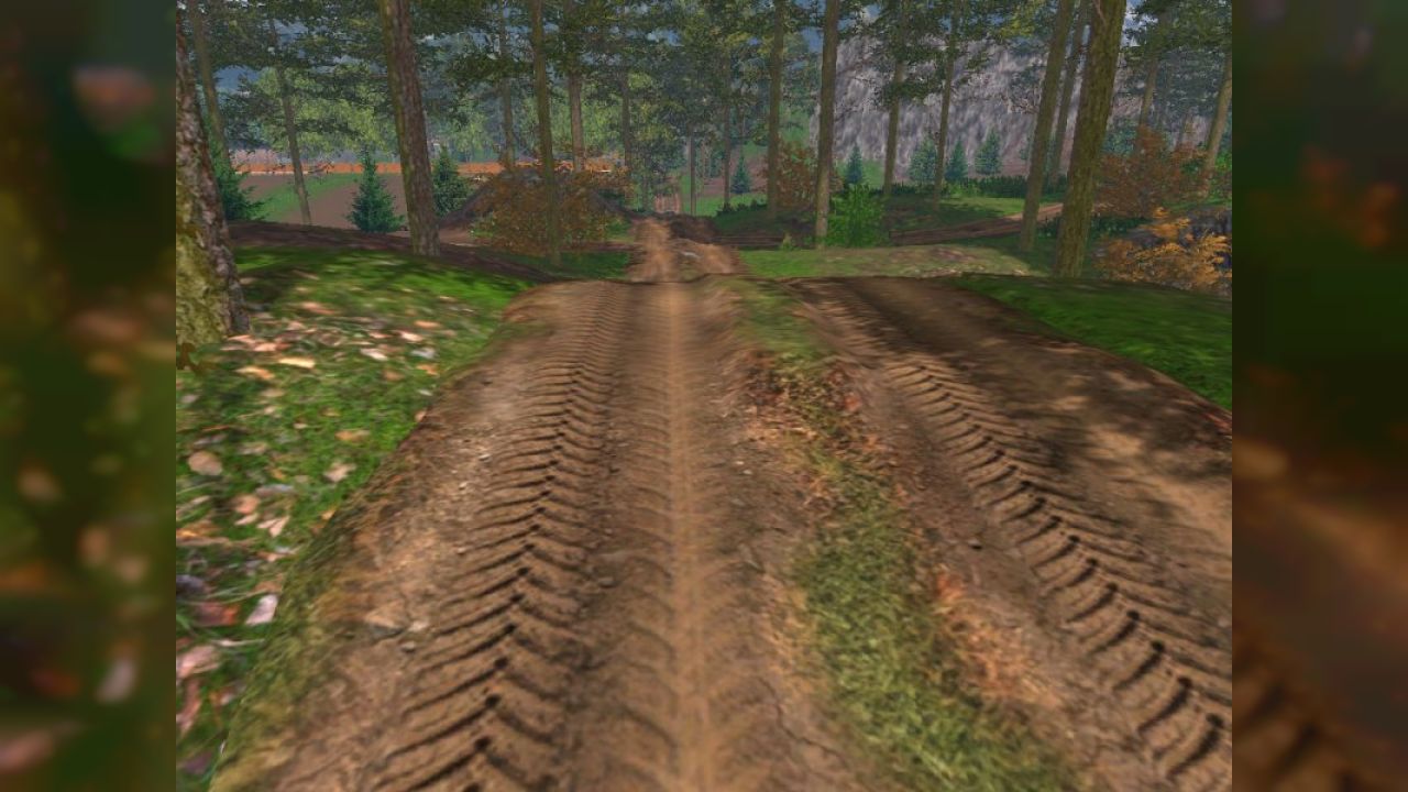 Forest roads