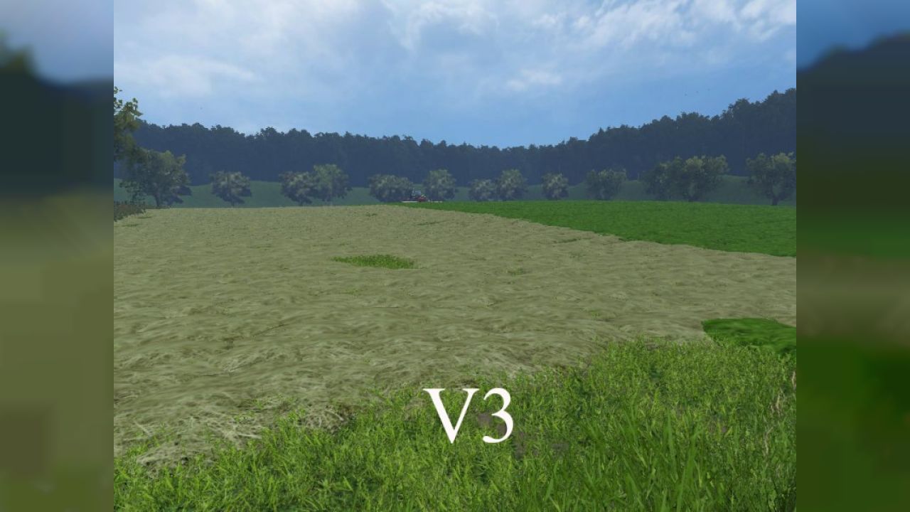 Grass texture v3