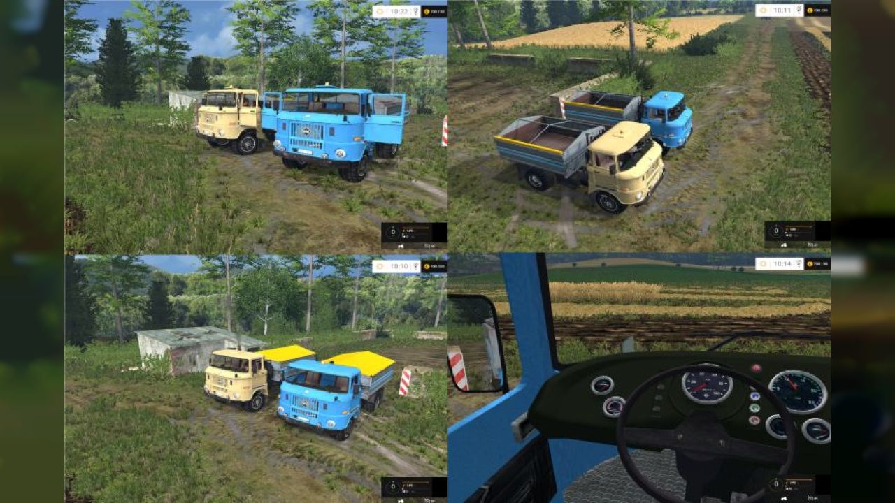 IFA W50 Grain Structure