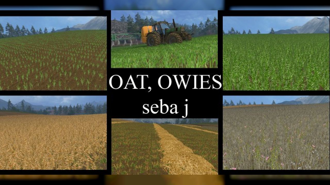 Oat texture v2