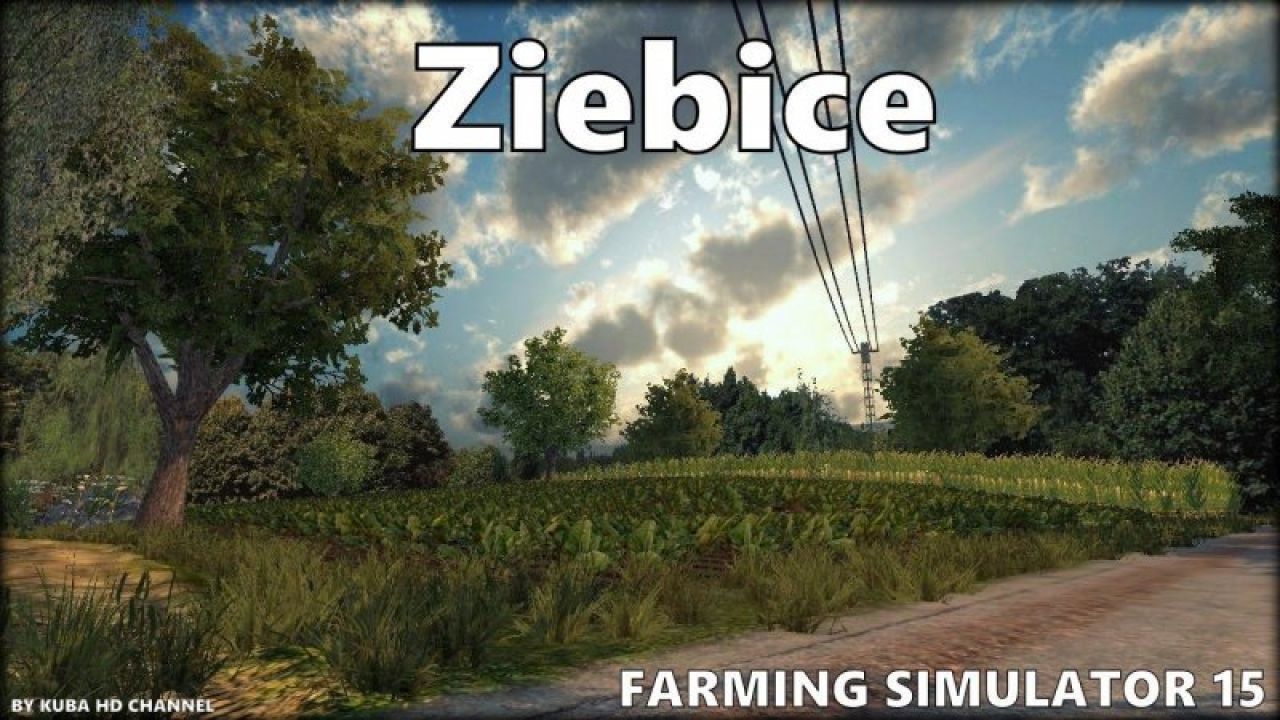 Ziebice