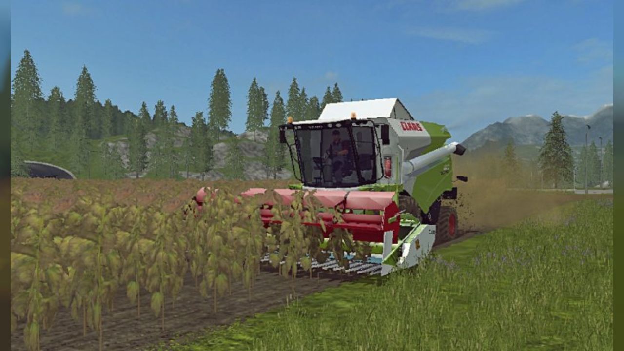 Claas C600 Sunflower FS17 - KingMods