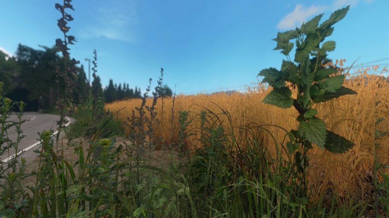 Contest - VANILLA VALLEY V3 - A Photorealistic map