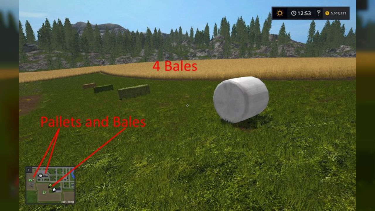 I See Bales