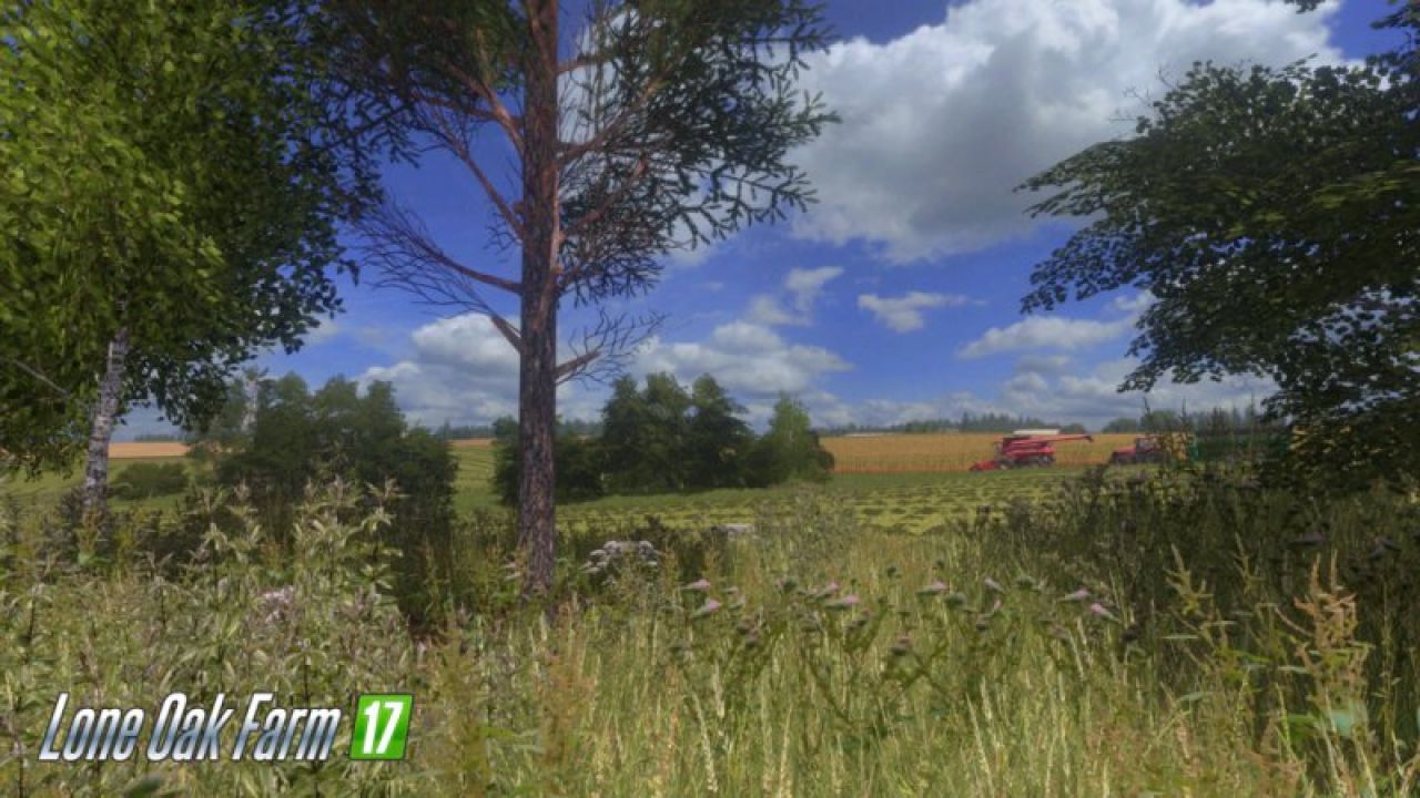 Lone Oak Farm v1.0.0.1