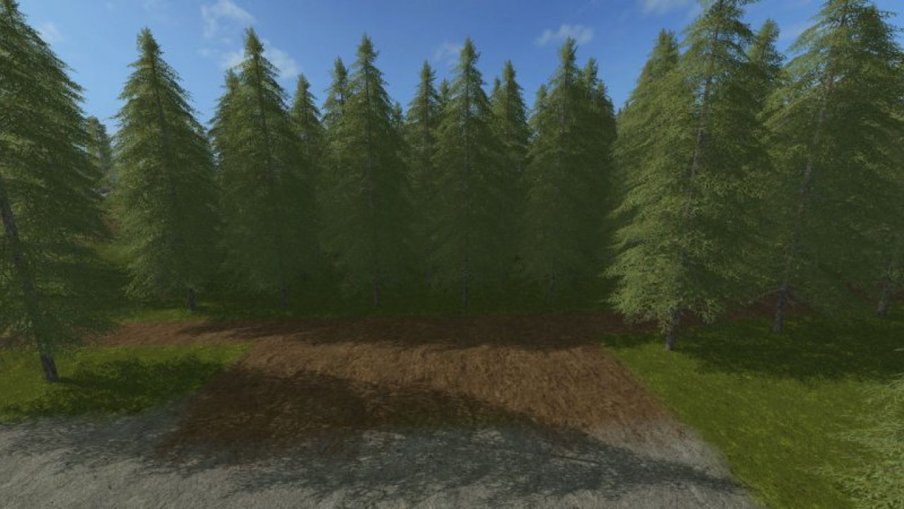 Plantable Spruce Trees