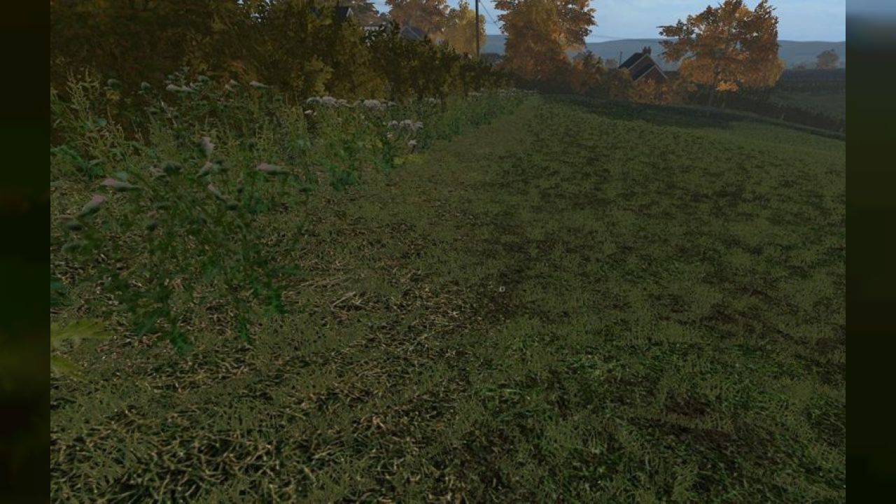 WINTER GRASS TEXTURES FOR SEASONS