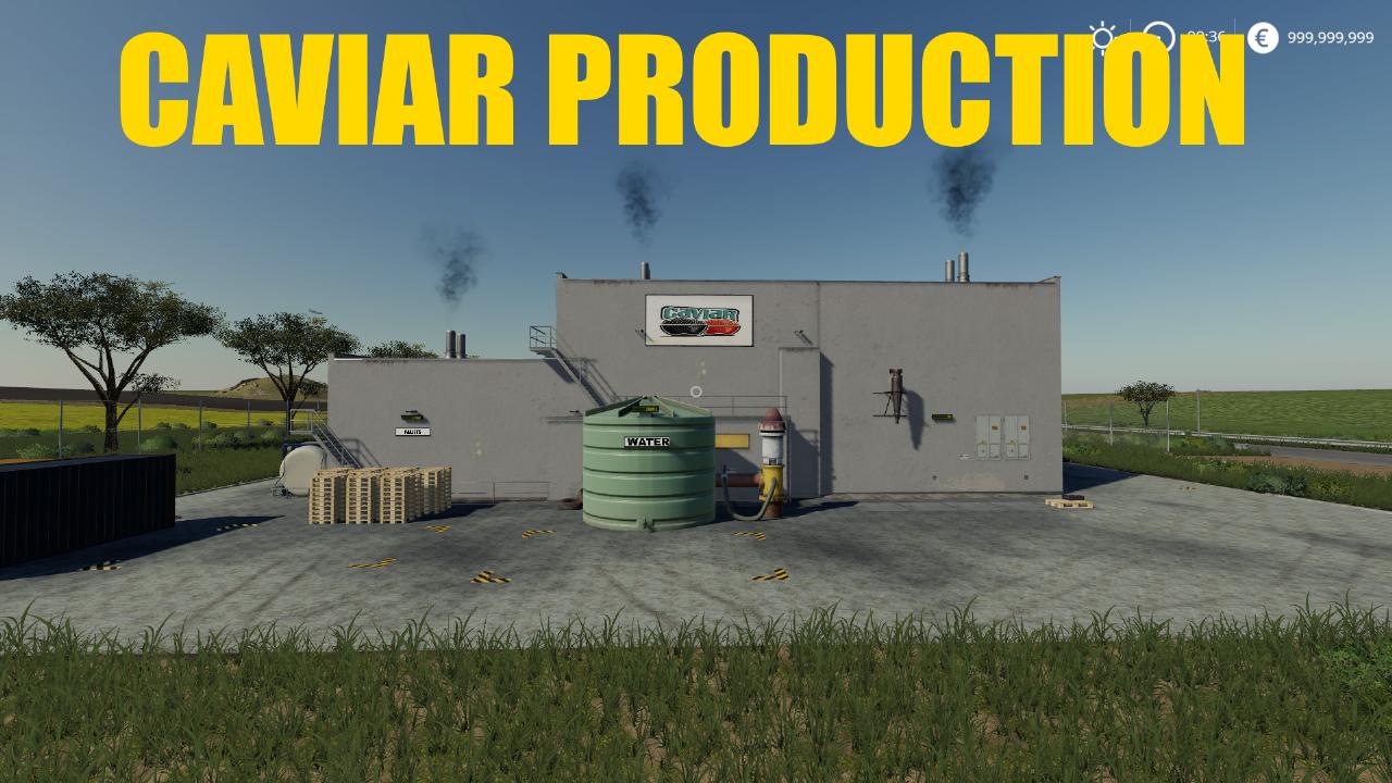 Kaviarproduktion