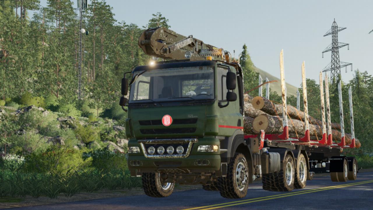 Tatra Phoenix L Crane FS19 - KingMods