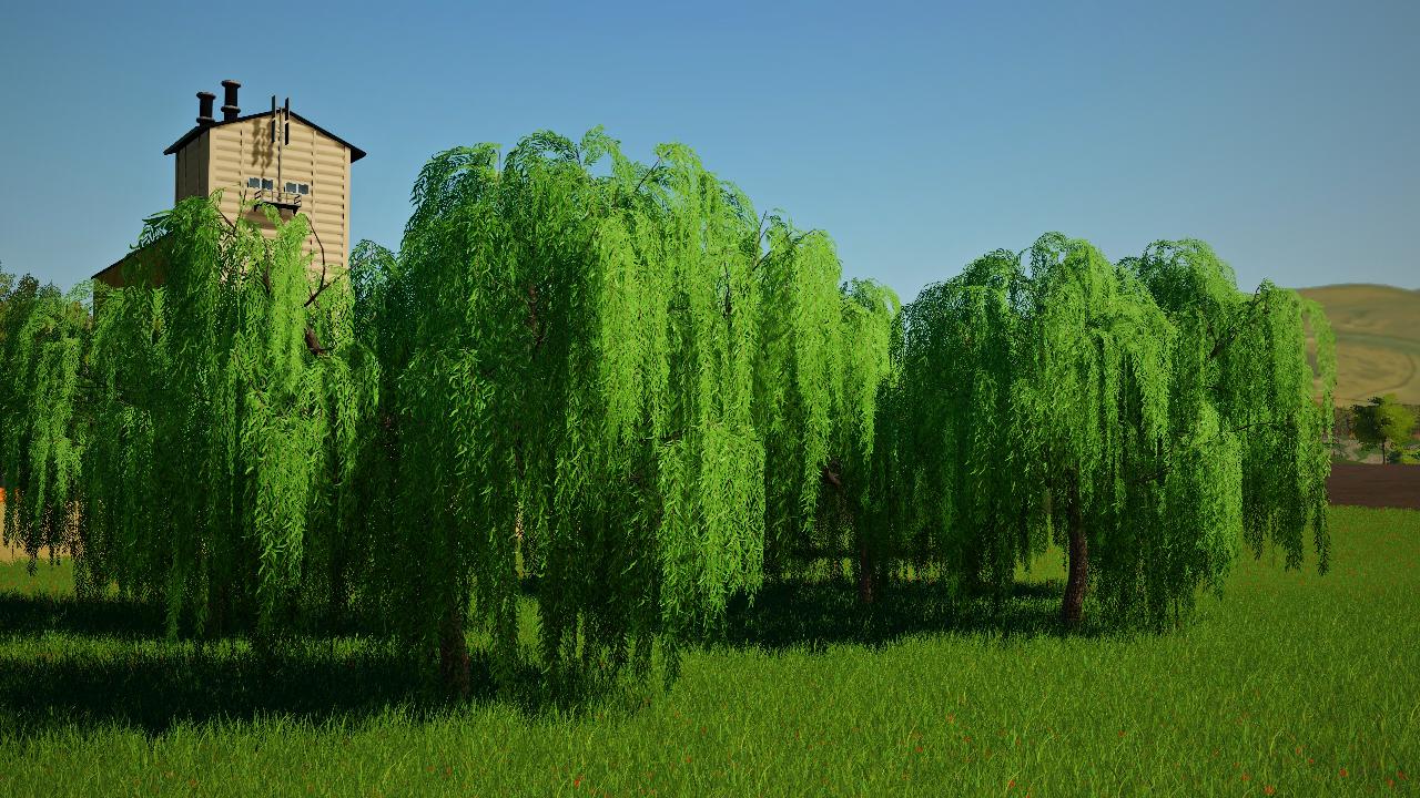 Weeping Willows Fs19 Kingmods