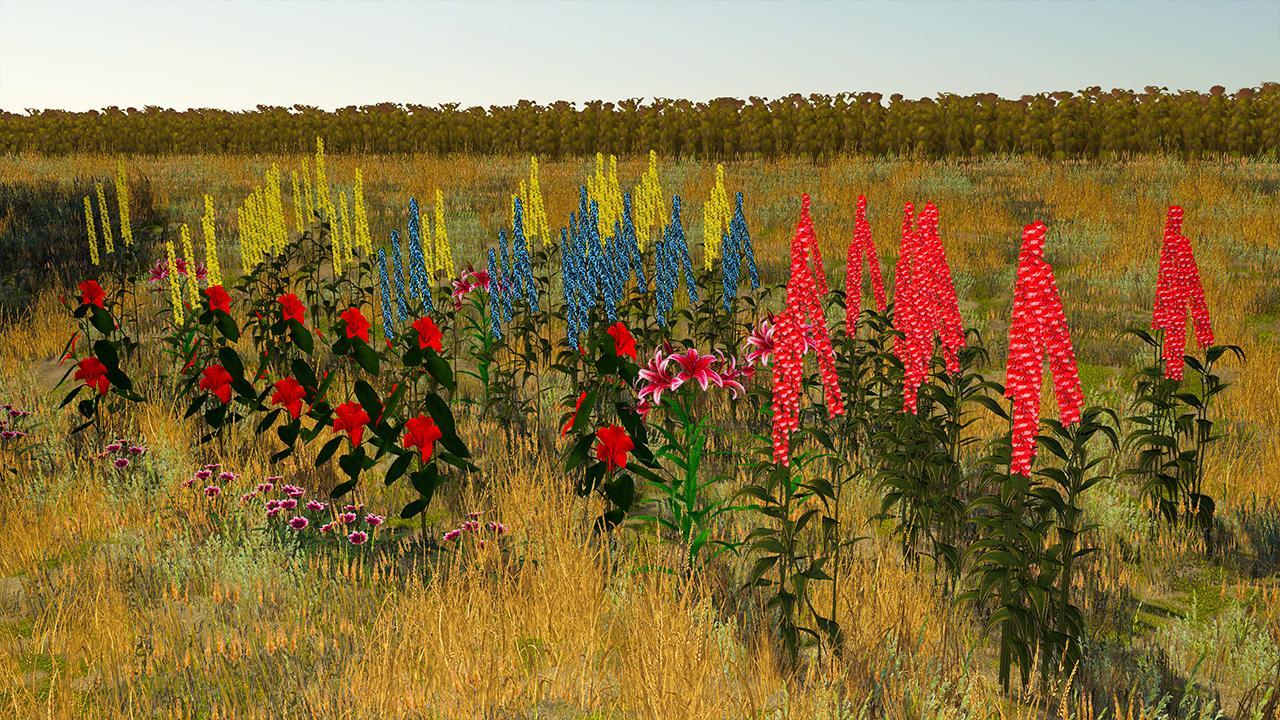 Fleurs Plaçables