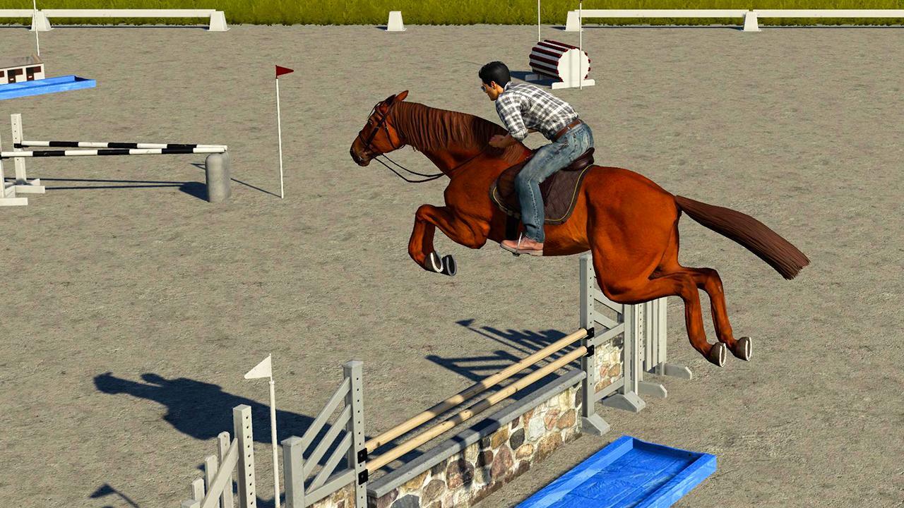 Horse obstacle course