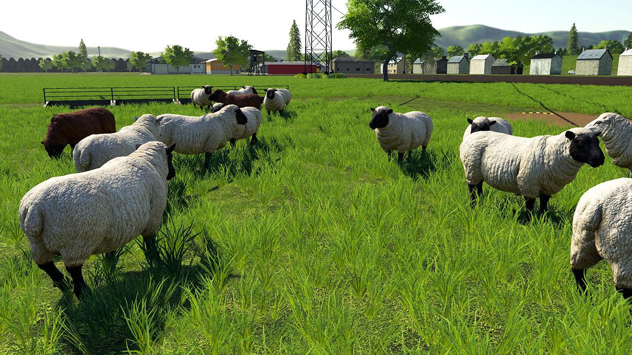 Open pasture for sheep FS19 - KingMods