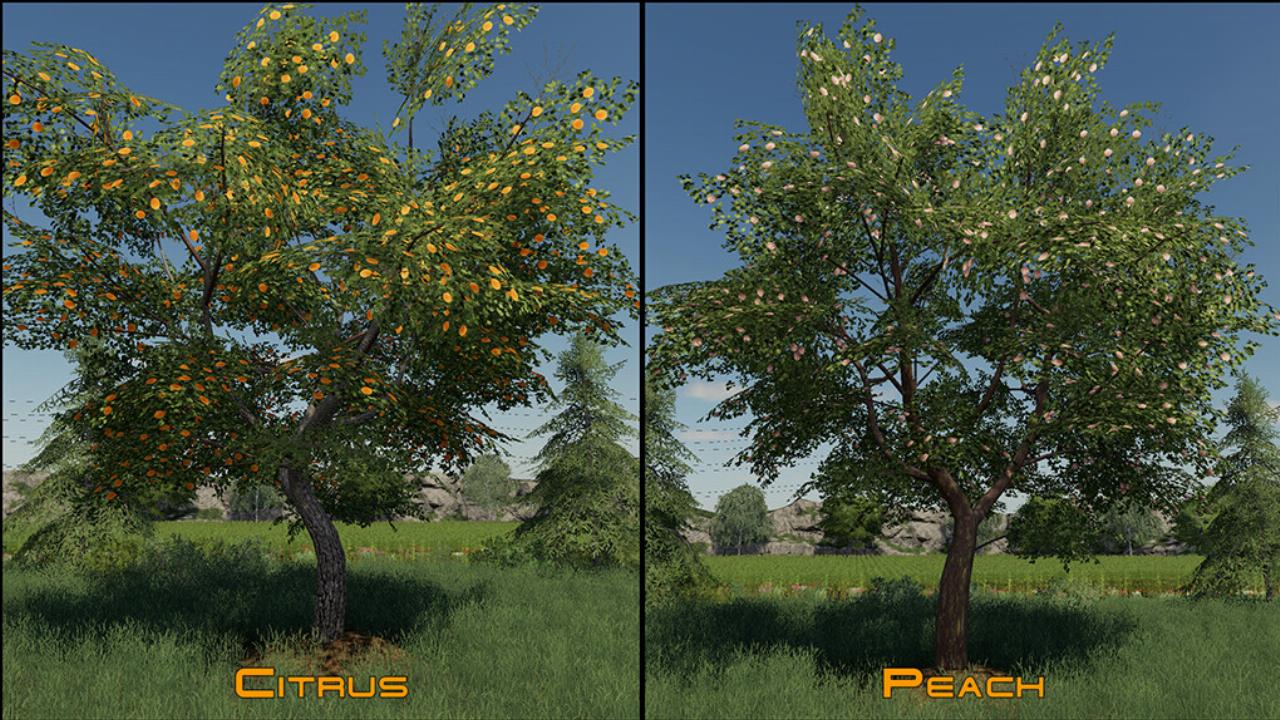 Placeable Fruit Trees Pack Fs19 Kingmods 8942