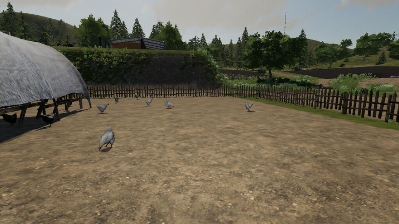 Sosnovka Chicken Pen