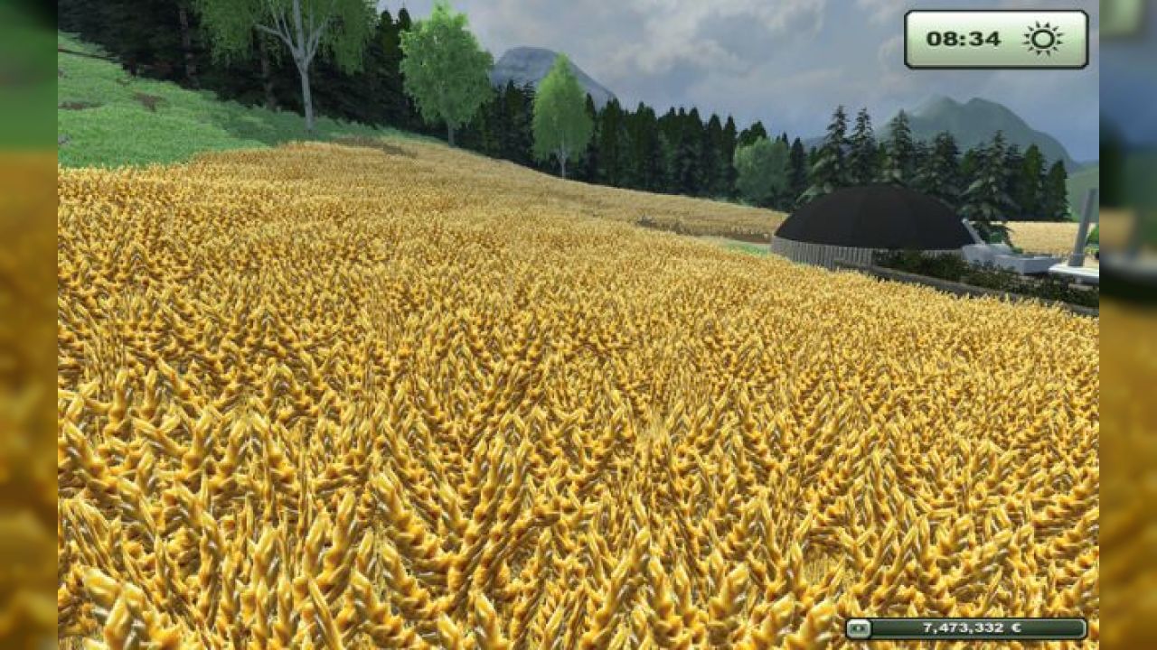 Grass, wheat, maize, rape, barley and grubber textures