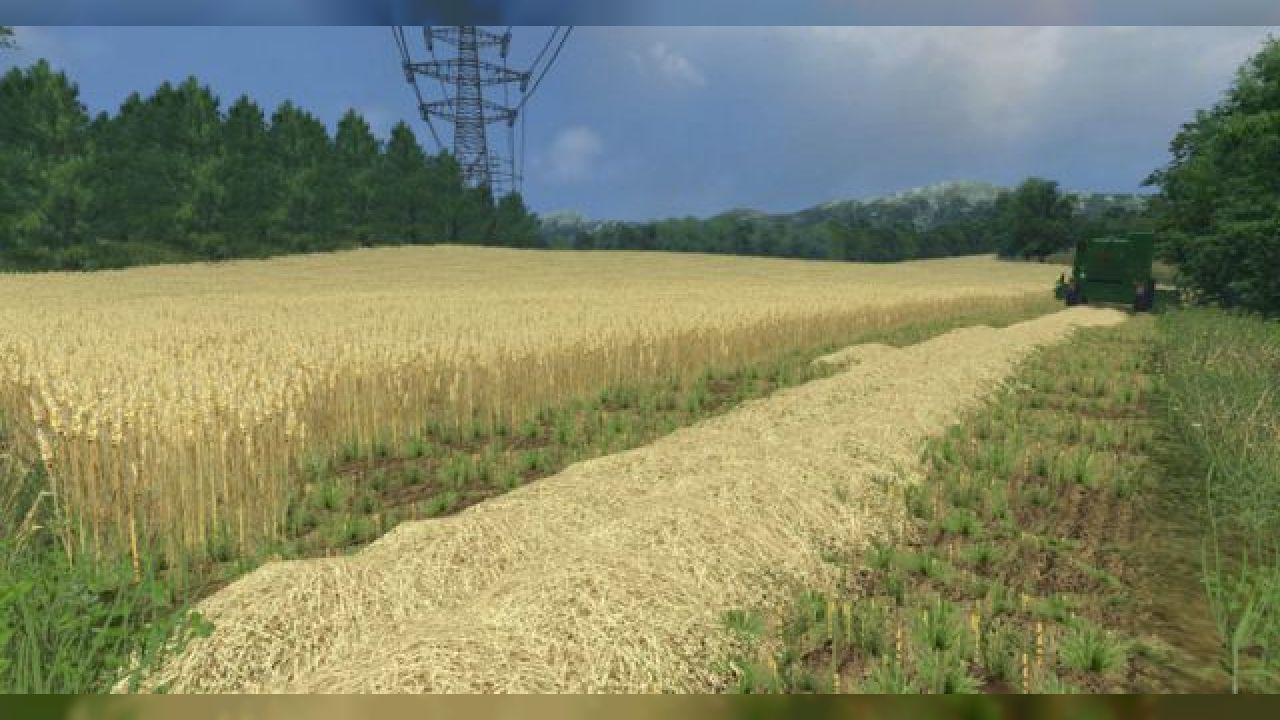 Wheat barley and rape textures