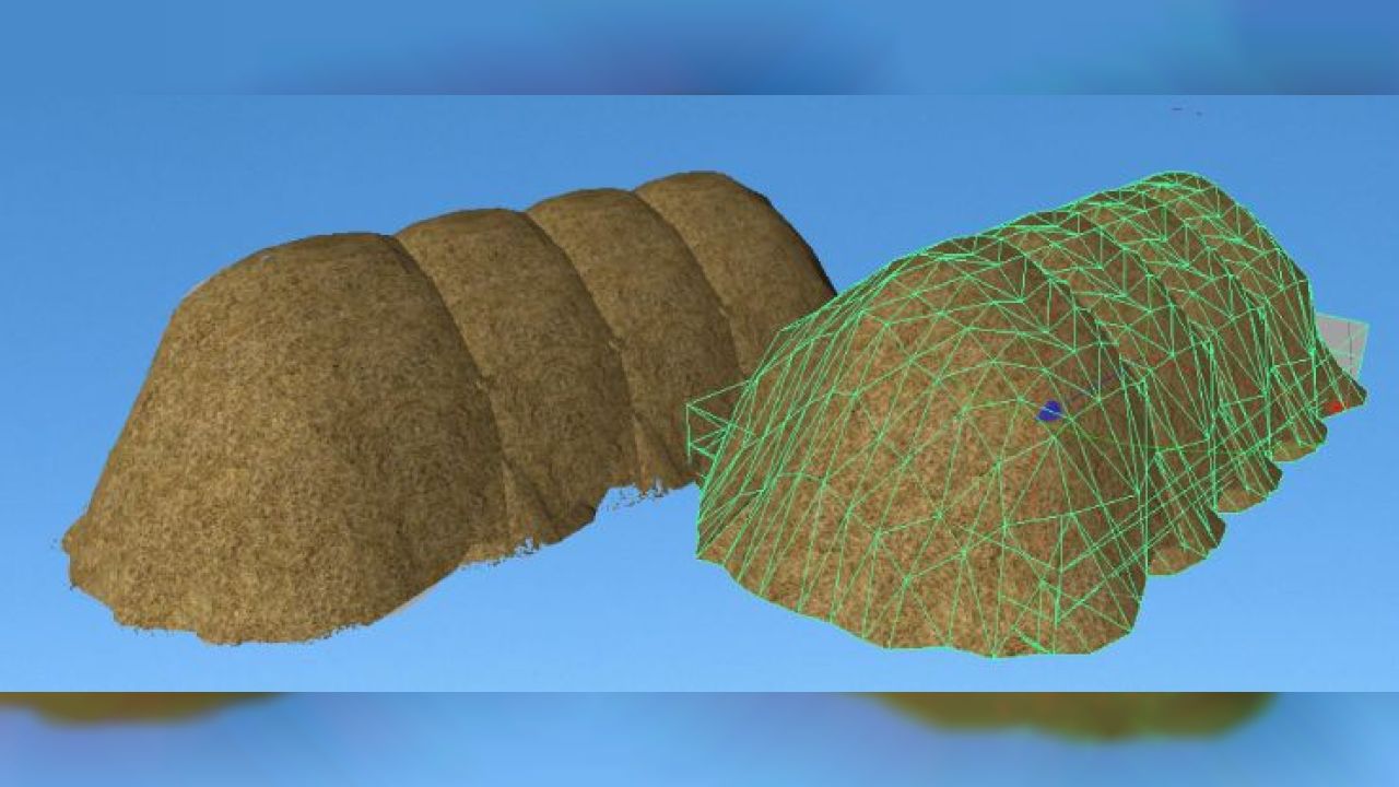 Wheat storage with function