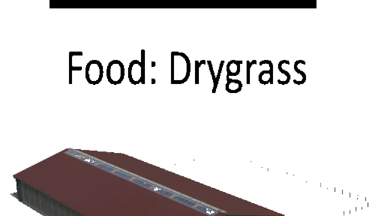 Big Barn 200 Cow's Food: Drygrass