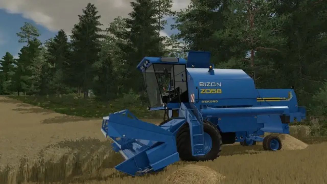 Bizon Z058 New Holland