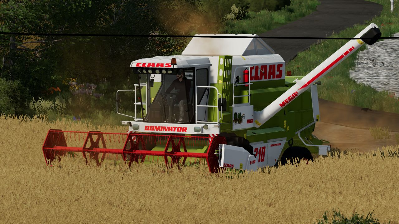 Claas Dominator 202/218 MEGA