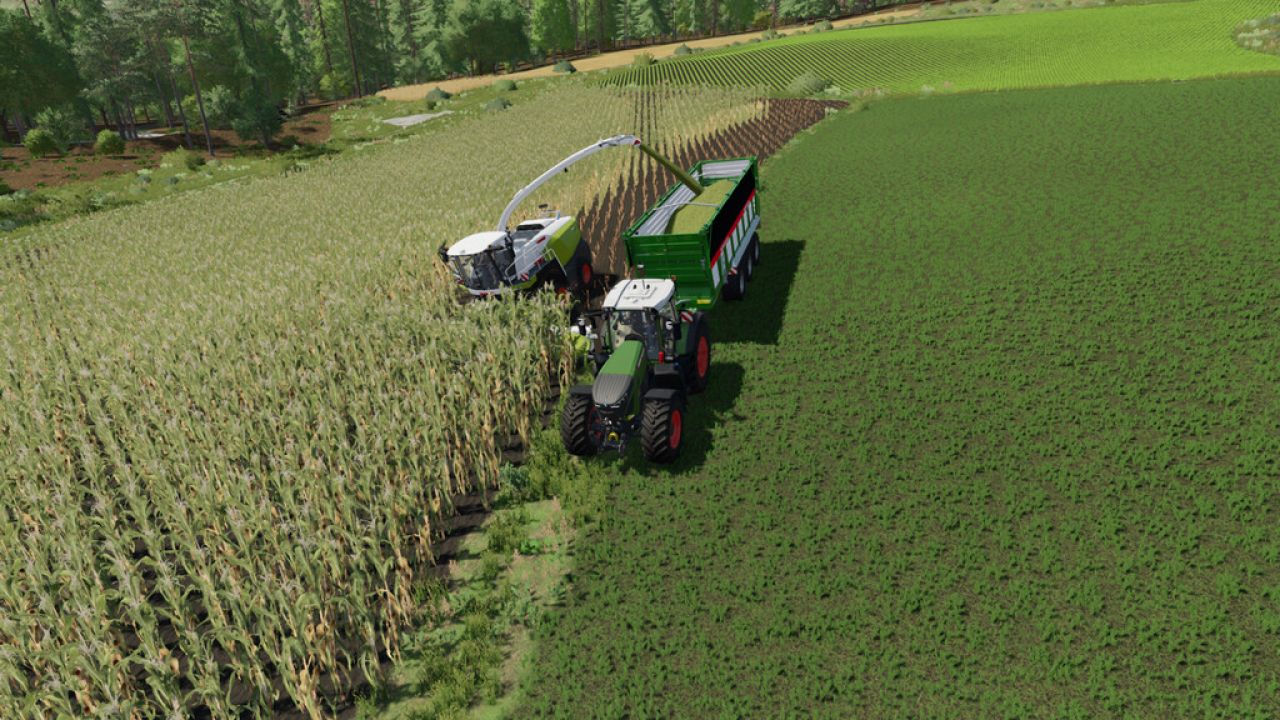 Claas Jaguar 900 TT Pack