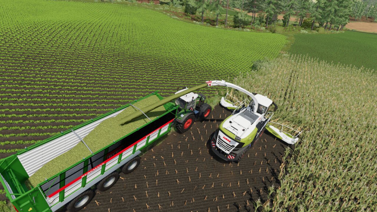 Claas Jaguar 900 TT Pack