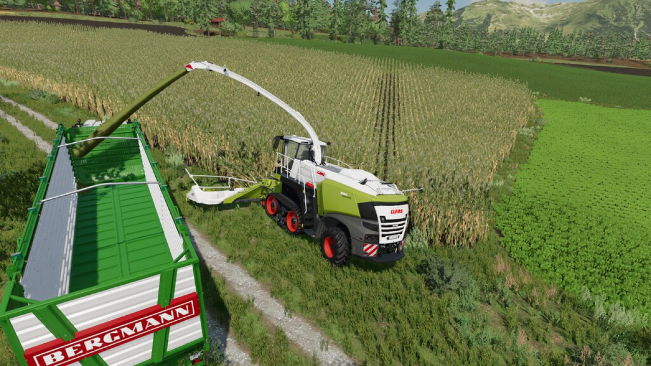 Claas Jaguar 900 TT Pack