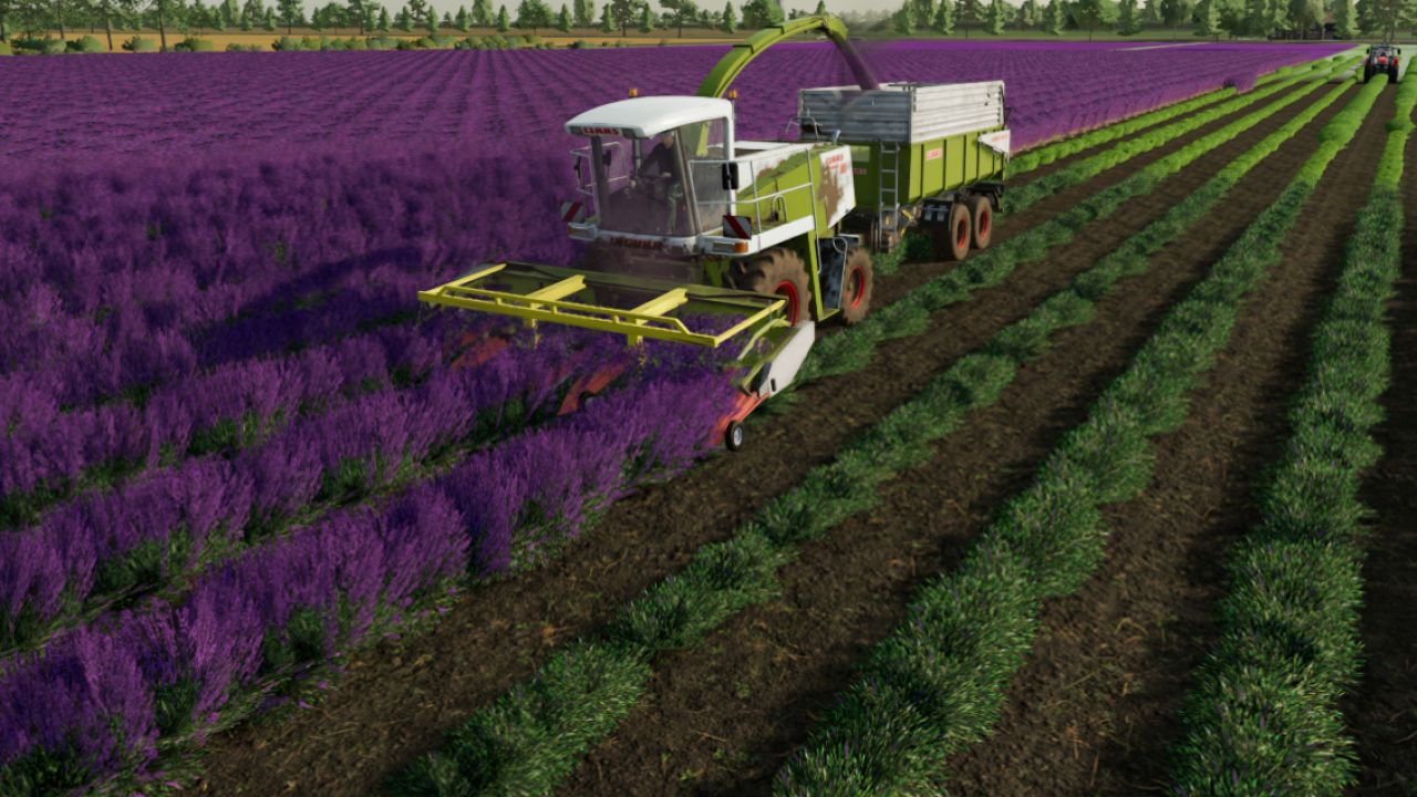 Распорка CLAAS Lavender