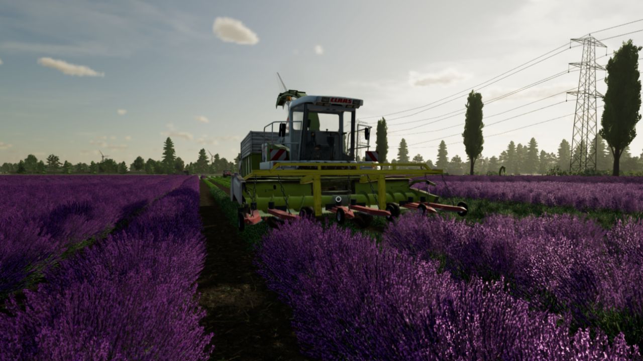 Barra di testata CLAAS lavanda