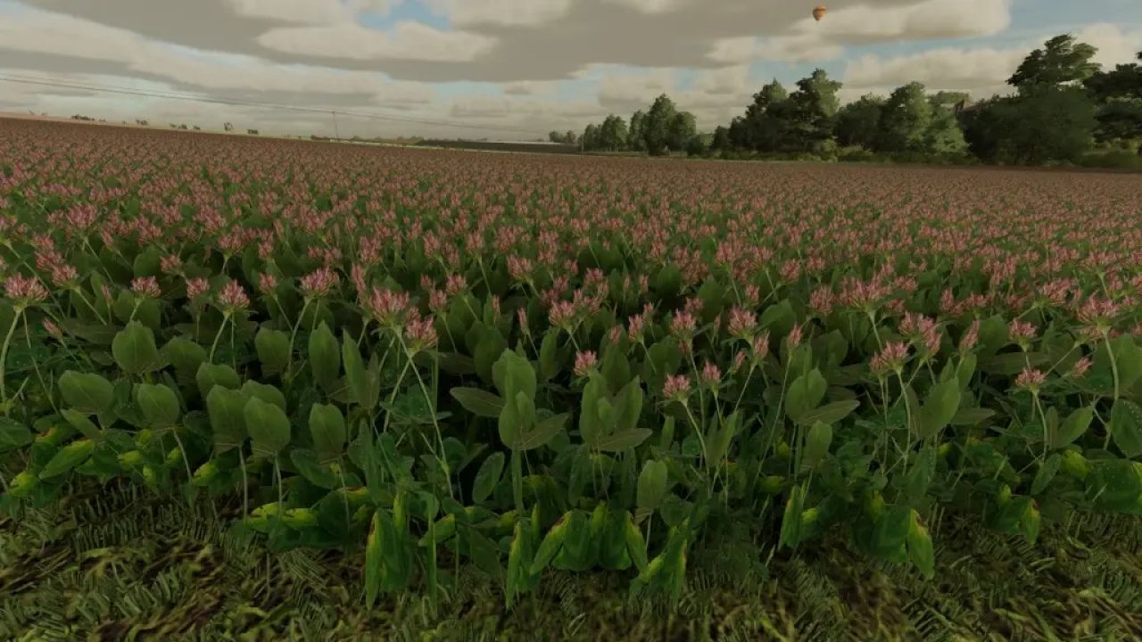 Textura de trébol y alfalfa