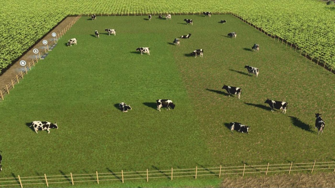 Pequeño establo de vacas