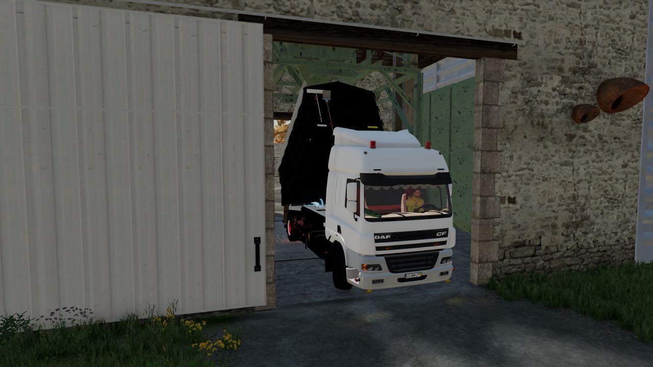 DAF Cargo