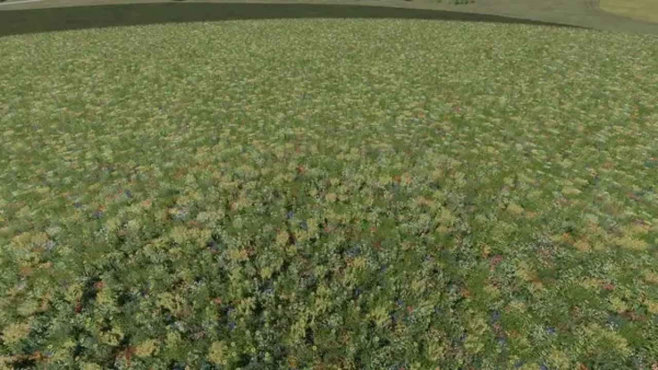 Flowering cover crop (Prefab)