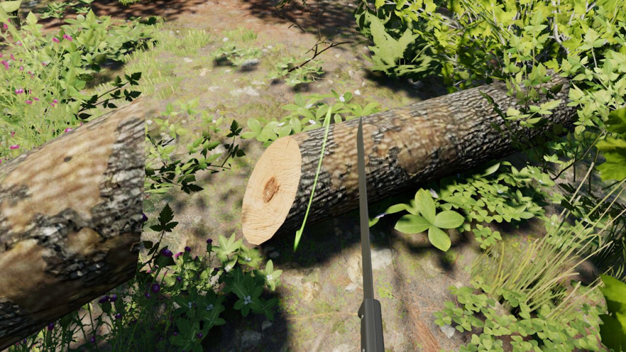 Forest Machete