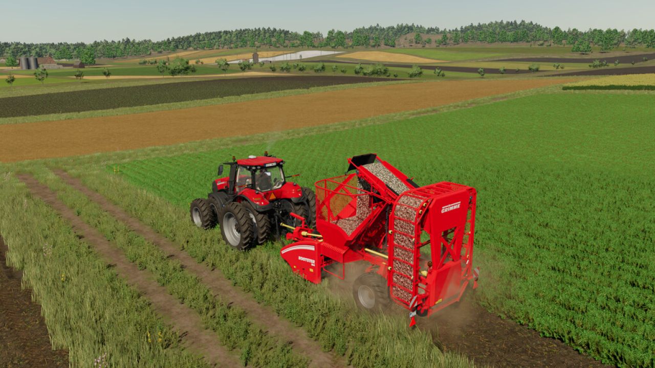 Grimme Rootster 604 Premium DLC