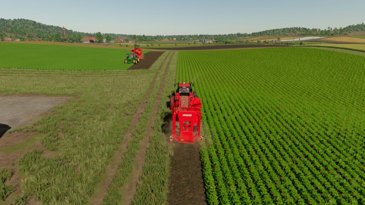 Grimme Rootster 604 Premium DLC