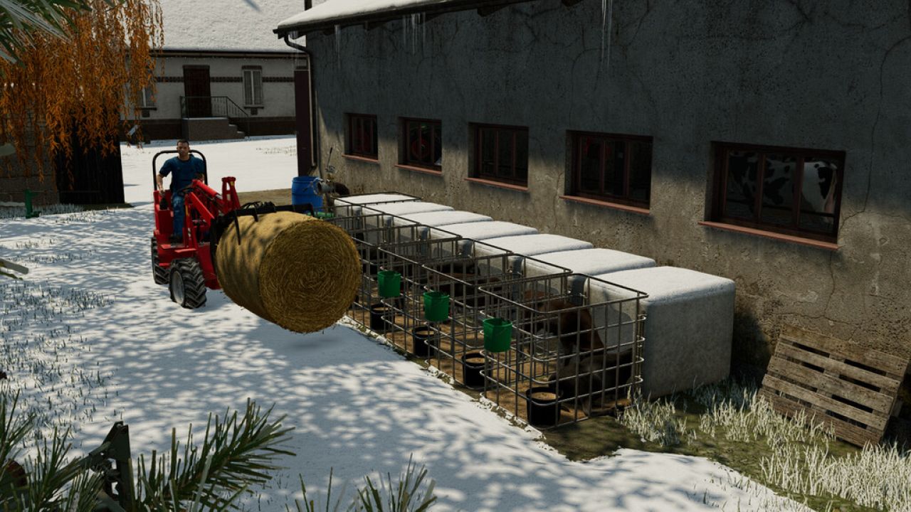 Igloo For Calves