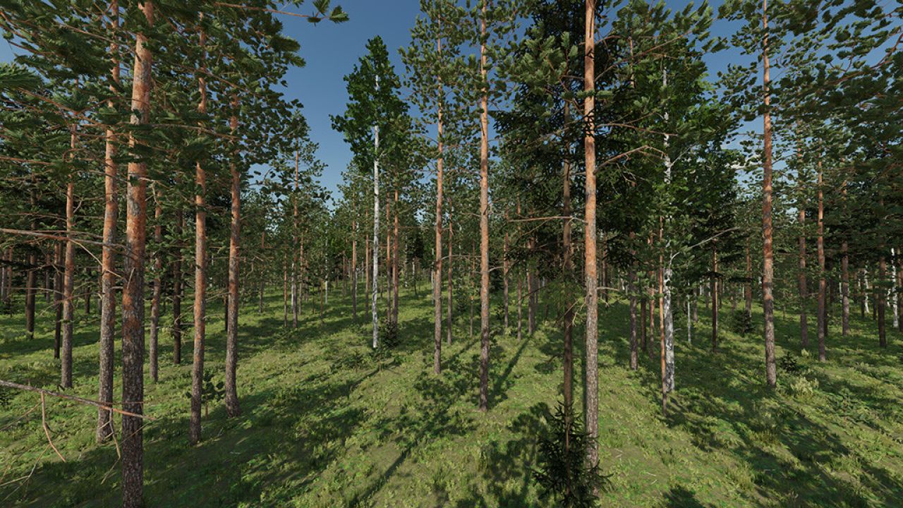 Pack Arbre Karhuvaara (Prefab)