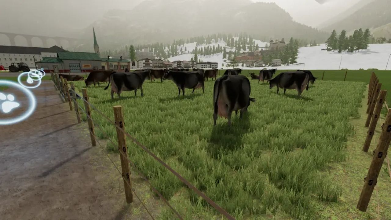 Enclos de grande capacité pour vaches