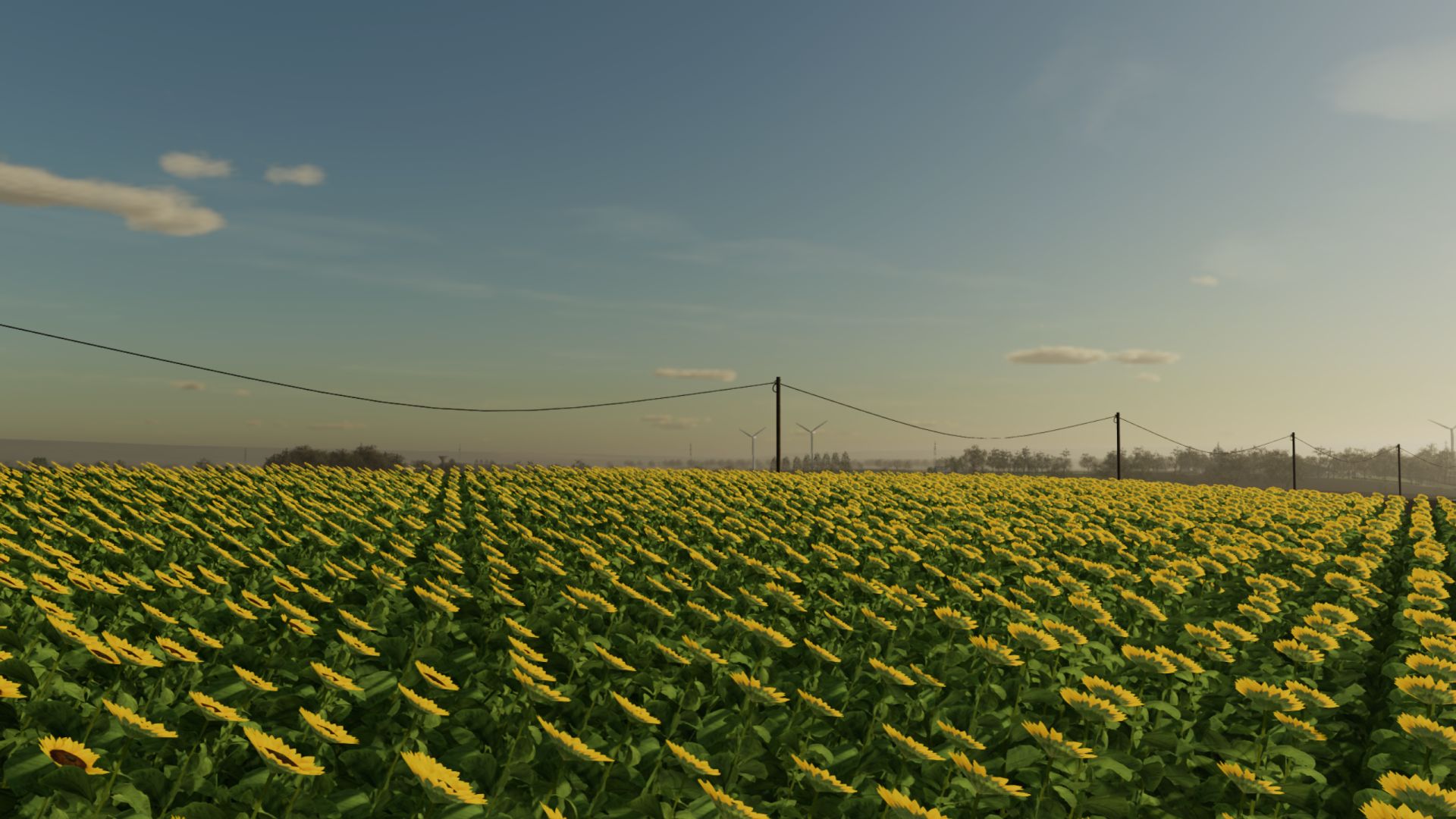 Le Bassin Agricole V2