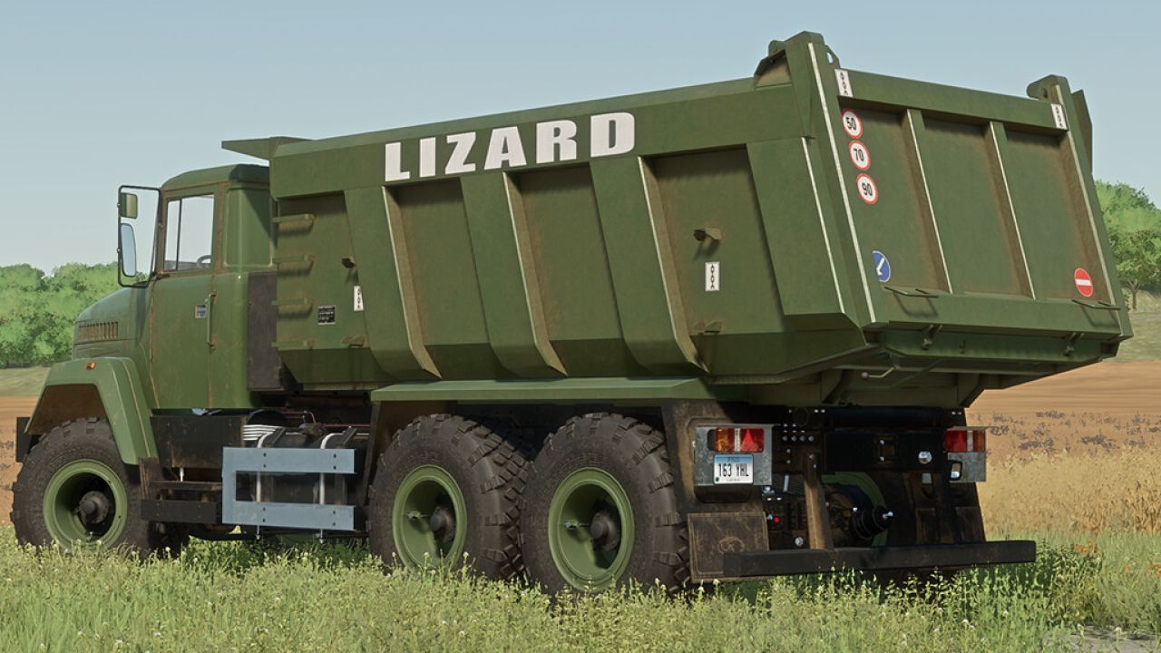 Lizard 65032