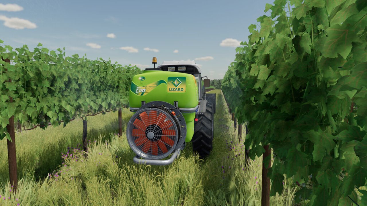 Lizard JR Vineyard Pack