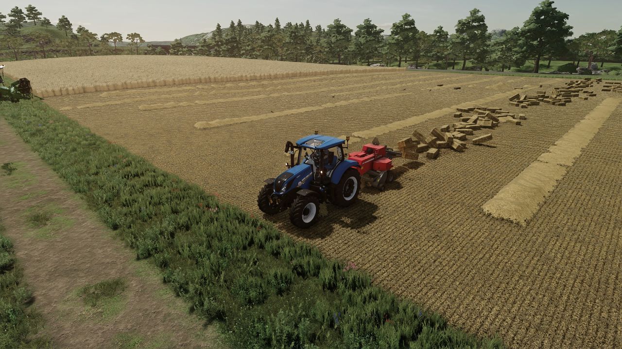 Massey Ferguson 1840 (Cheat)