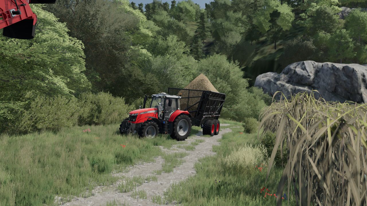 Massey Ferguson 3012