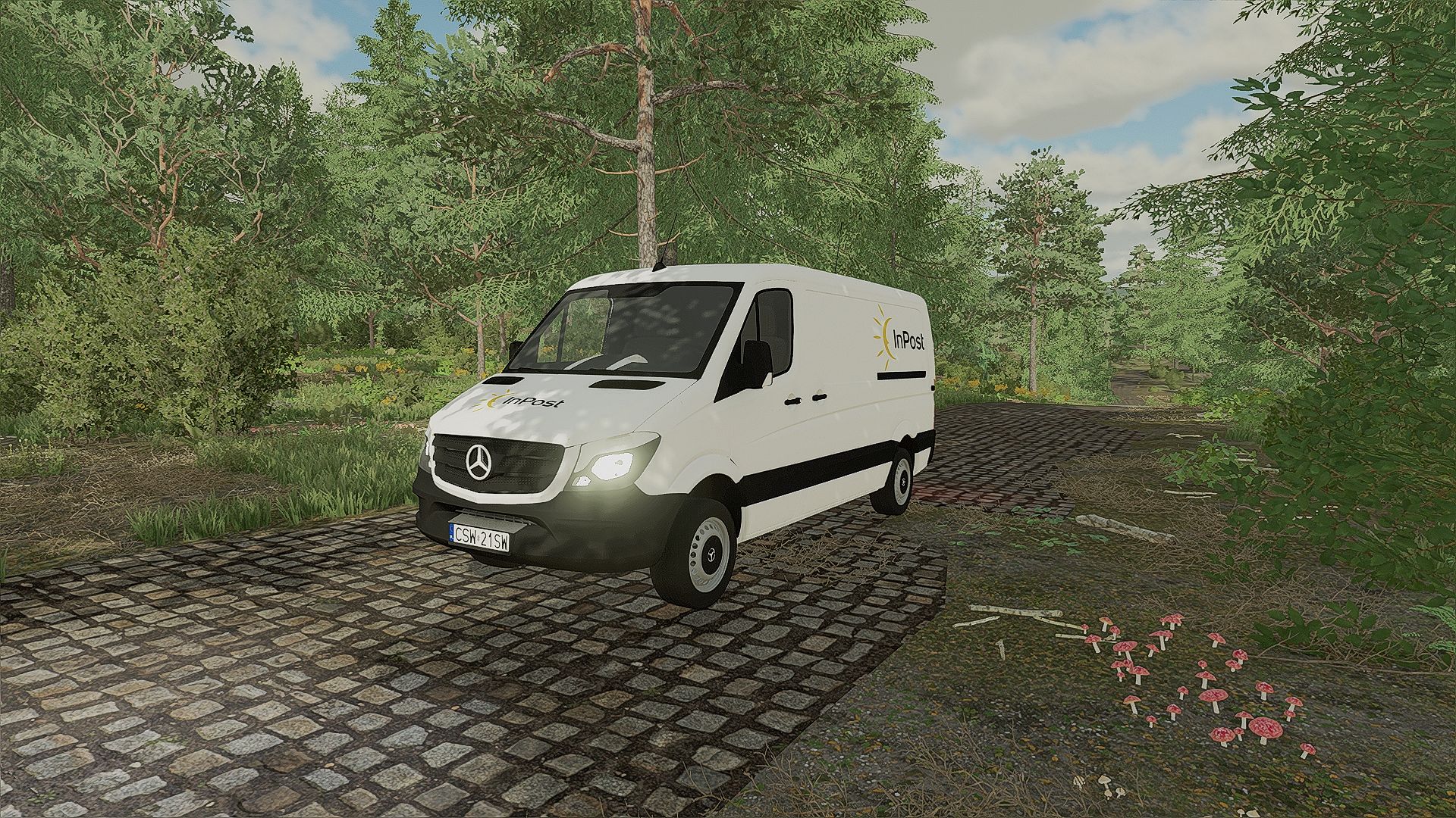 Mercedes Benz Sprinter CDI kurier firmy  INPOST